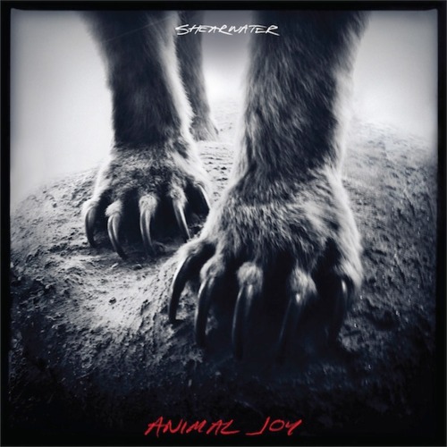 Shearwater-_-Animal-Joy.jpg
